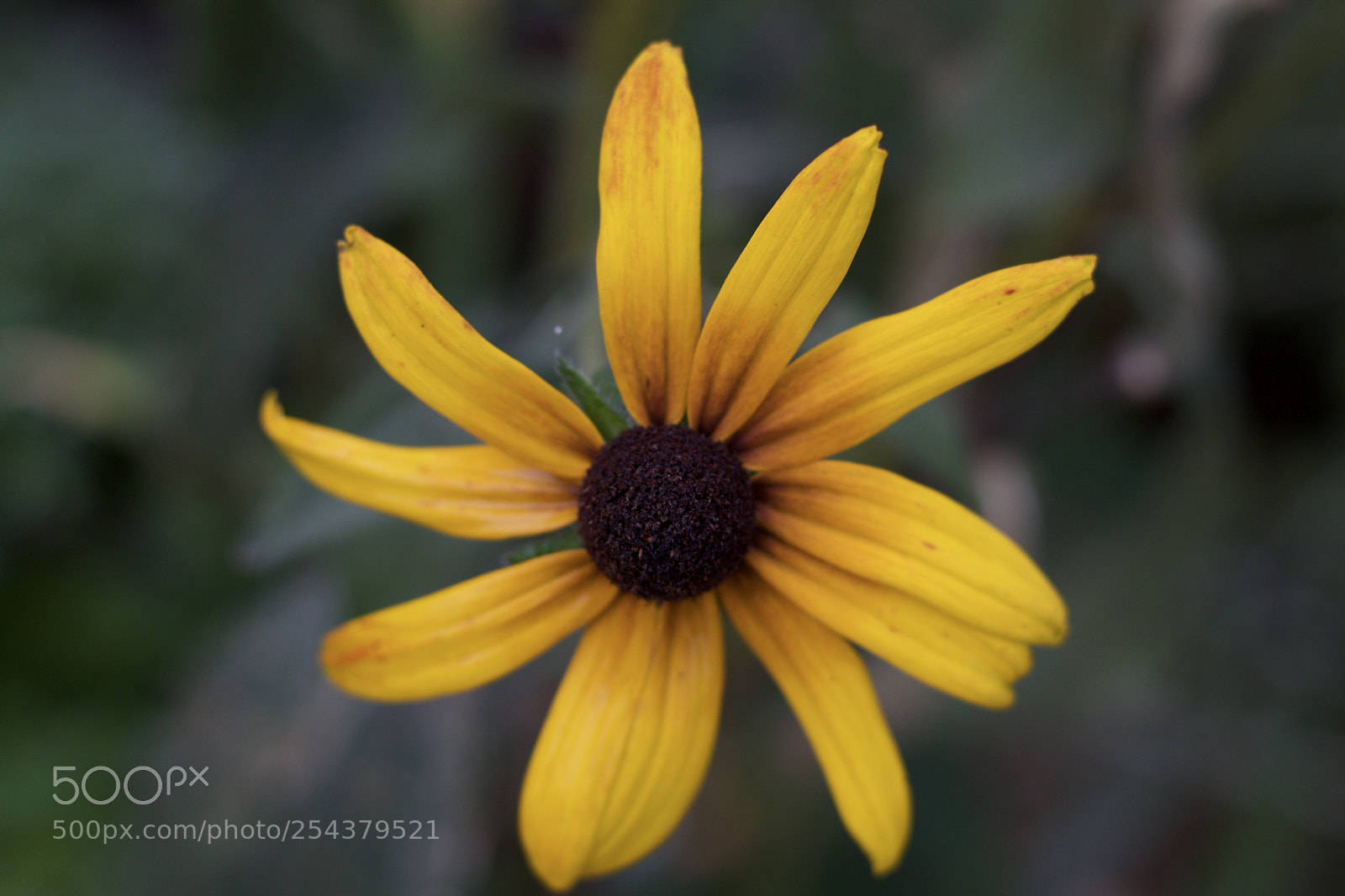 Nikon D3300 sample photo. Fullsizeoutput f photography