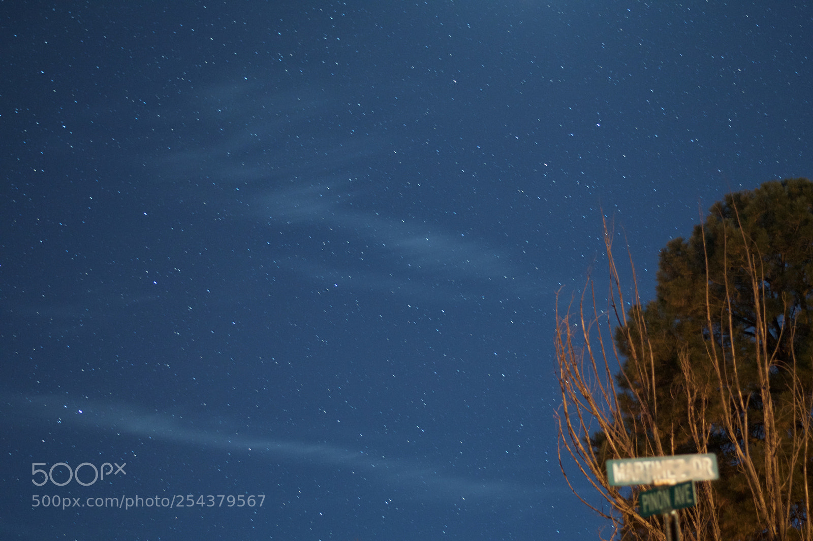 Nikon D3300 sample photo. Fullsizeoutput photography