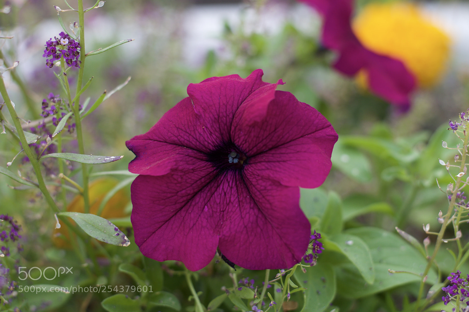 Nikon D3300 sample photo. Fullsizeoutput d photography