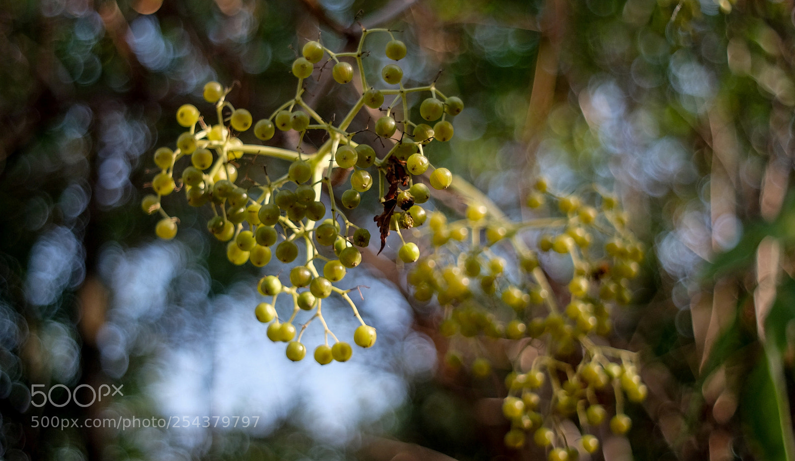 Fujifilm X-A1 sample photo. Untitled photography