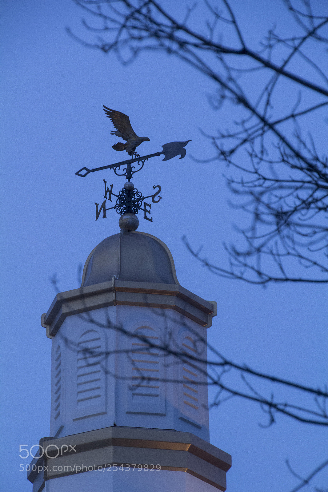 Canon EOS 1200D (EOS Rebel T5 / EOS Kiss X70 / EOS Hi) sample photo. Branches and weather vane. photography