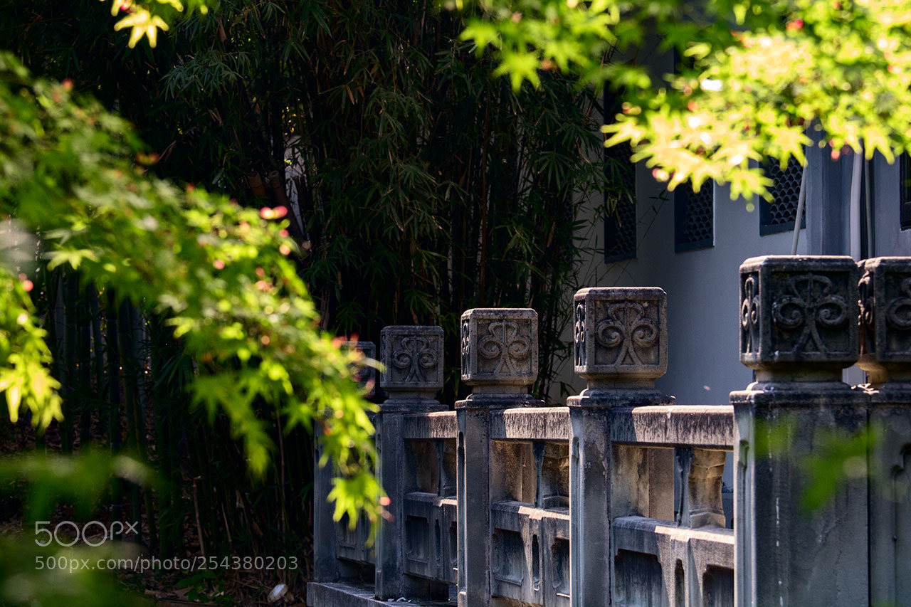 Canon EOS 760D (EOS Rebel T6s / EOS 8000D) sample photo. Untitled photography