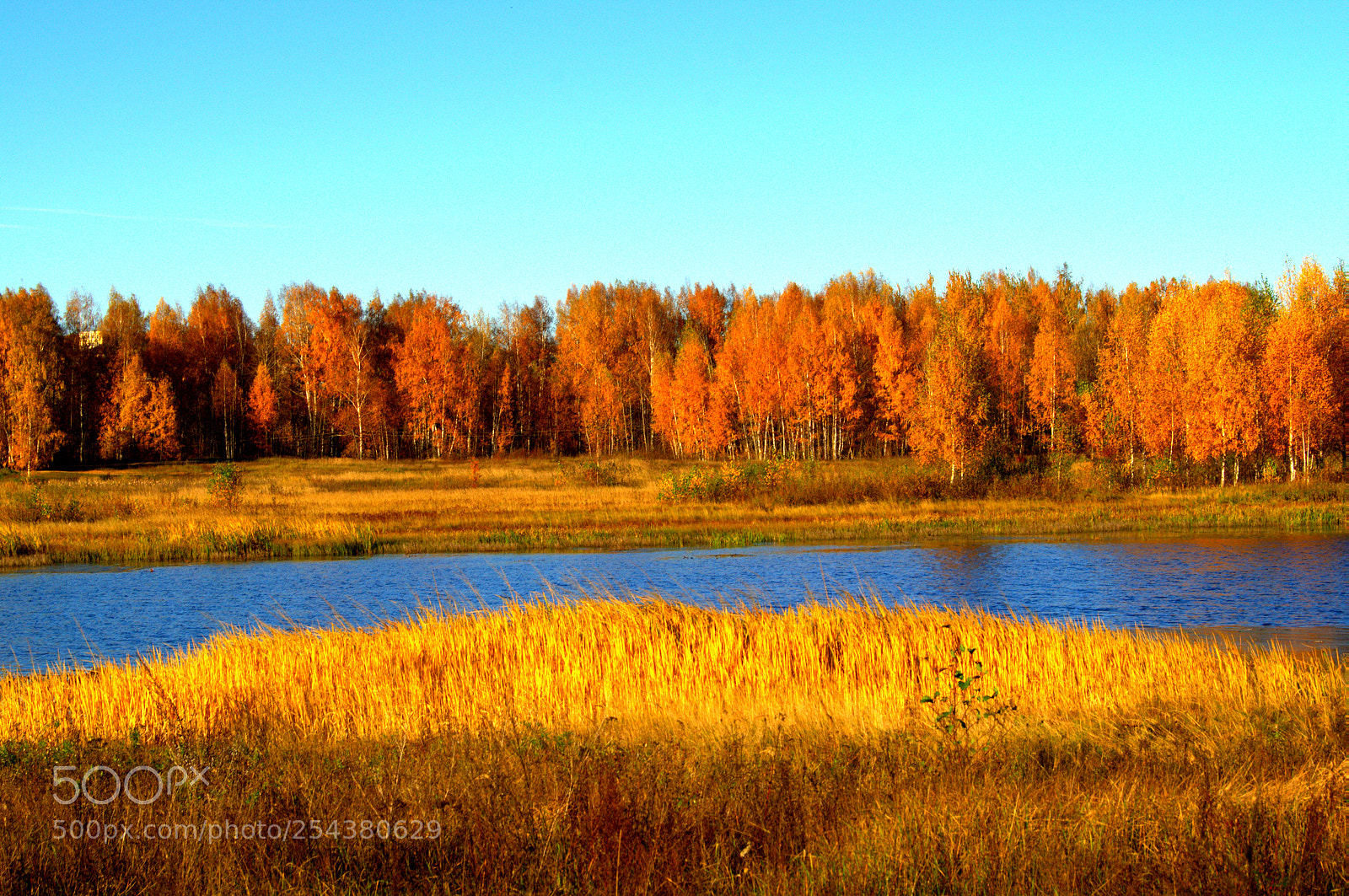 Sony SLT-A37 sample photo. осень... photography