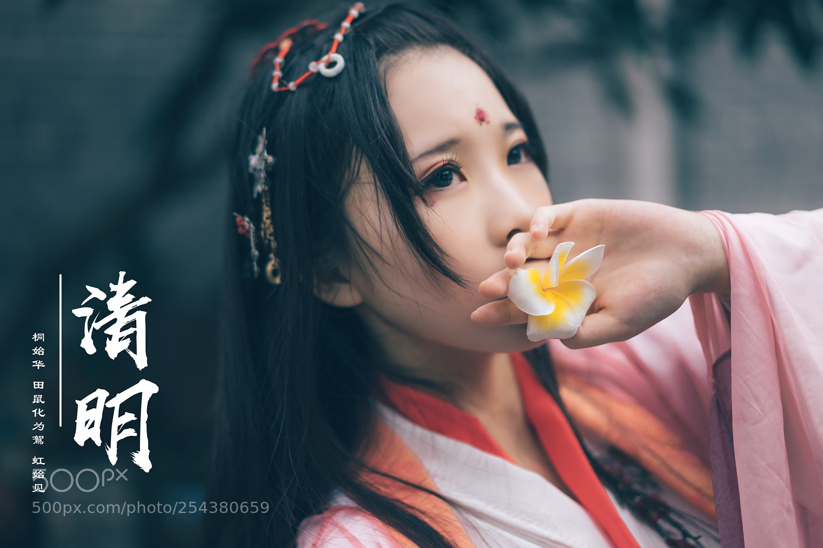 Sony a7 II sample photo. Hanfu photography