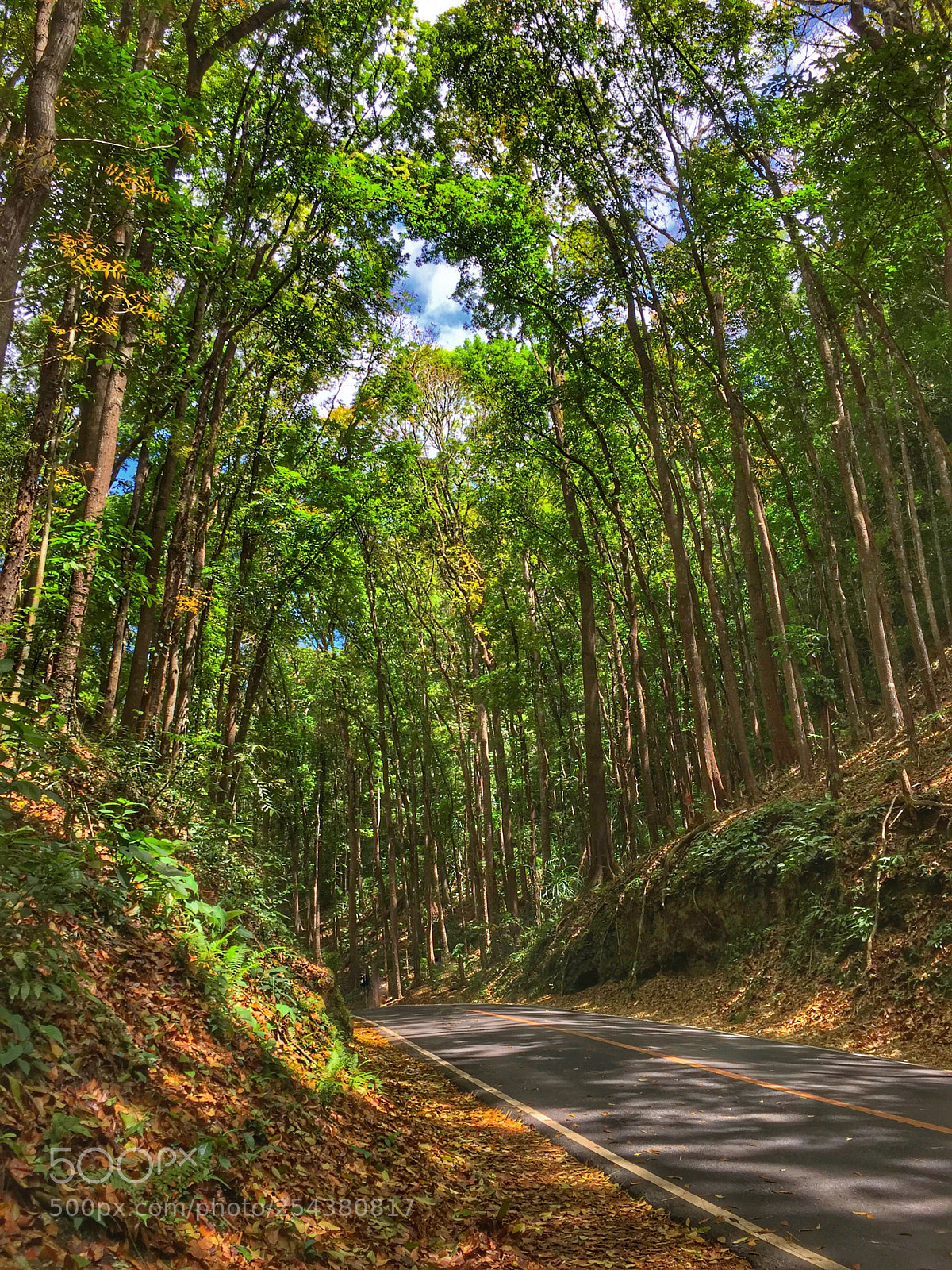 Apple iPhone 6 sample photo. The road that leads photography
