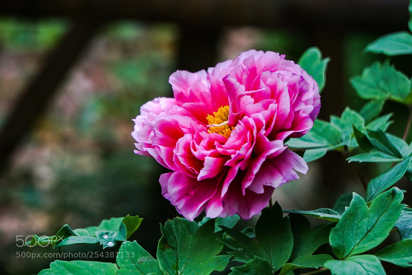 Sony a6000 sample photo. Untitled photography