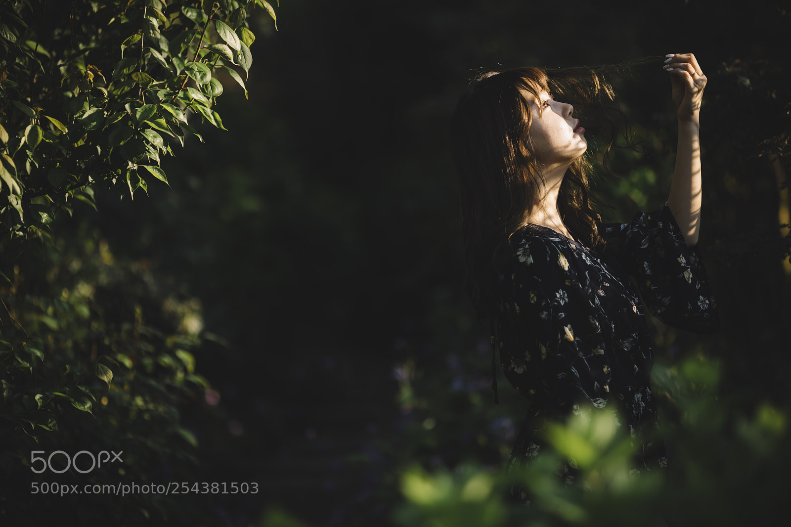 Canon EOS 5D Mark IV sample photo. Untitled photography