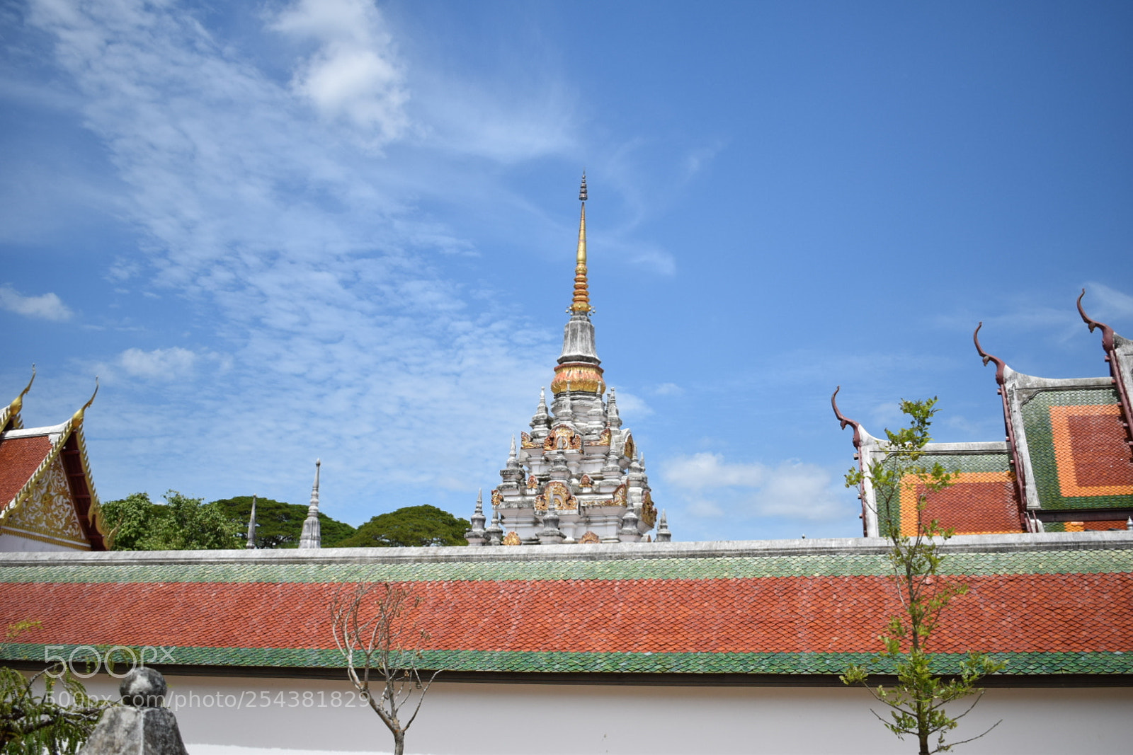 Nikon D5300 sample photo. Untitled photography