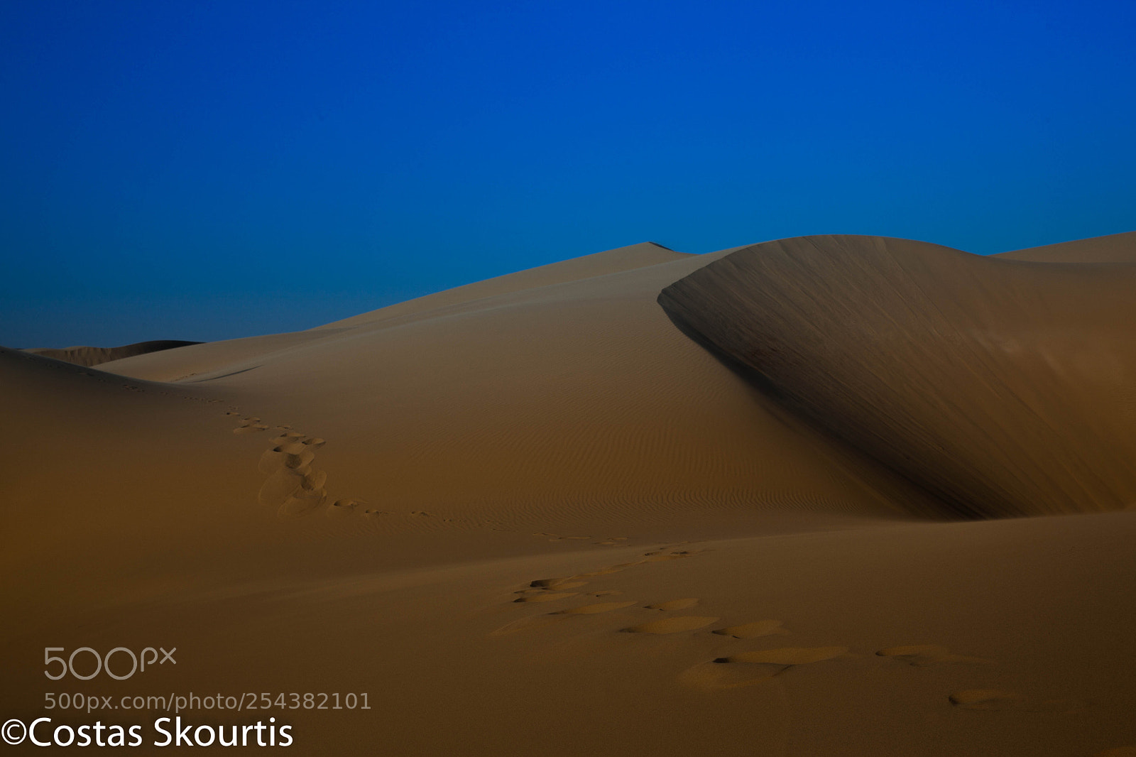 Canon EOS 5D Mark II sample photo. Colors of sand photography