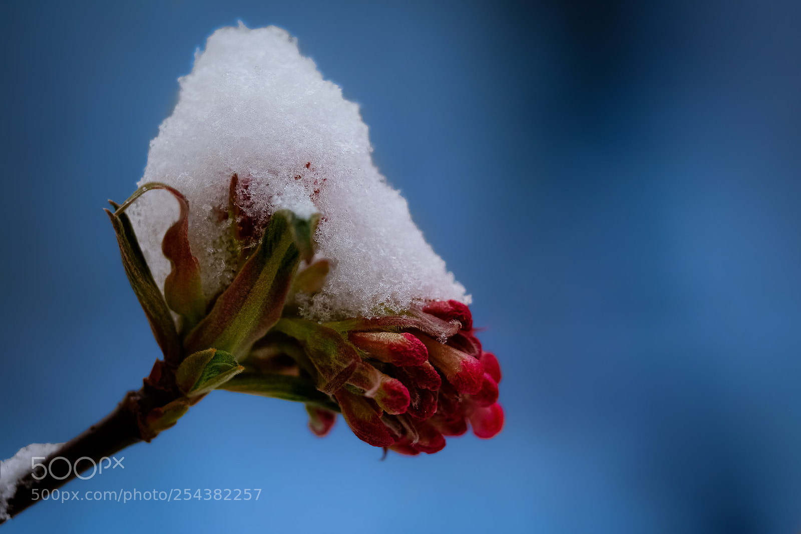 Fujifilm X-T1 sample photo. Goodbye winter photography