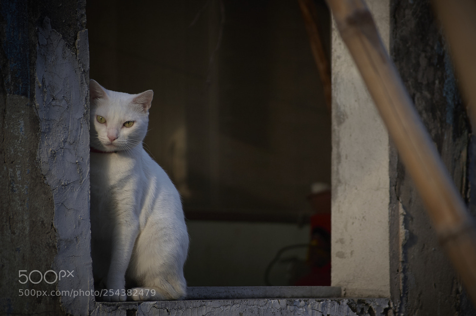 Nikon D40 sample photo. Mancha photography