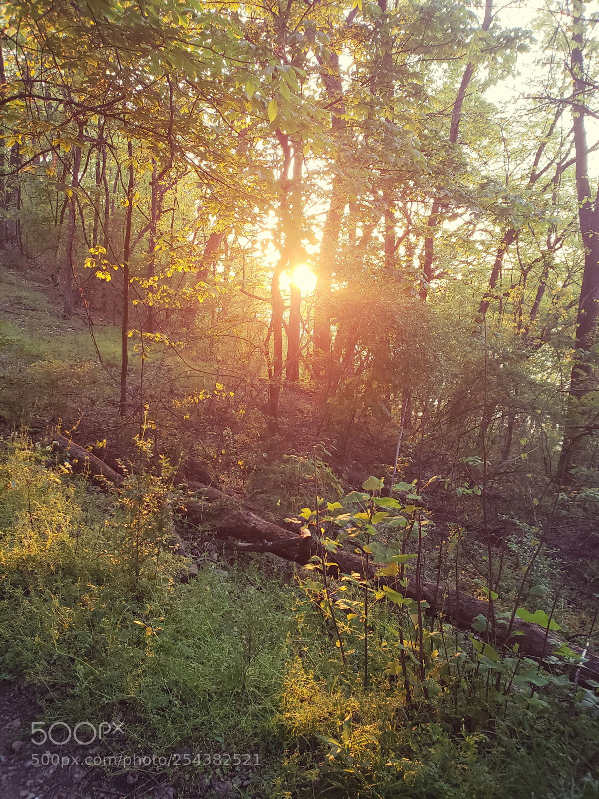 Samsung Galaxy S9+ sample photo. Untitled photography