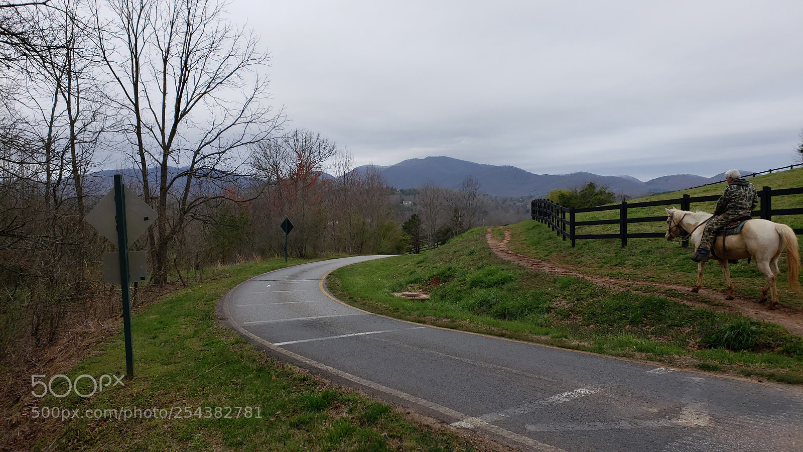 Samsung Galaxy S9+ sample photo. Untitled photography