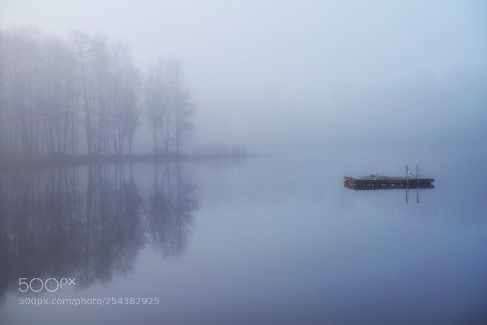 Nikon D5300 sample photo. A foggy but still photography