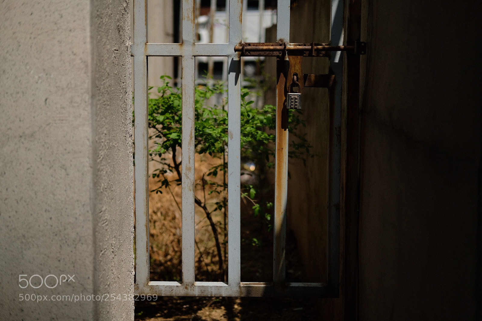 Fujifilm X-Pro2 sample photo. 18.04.20 snap photography