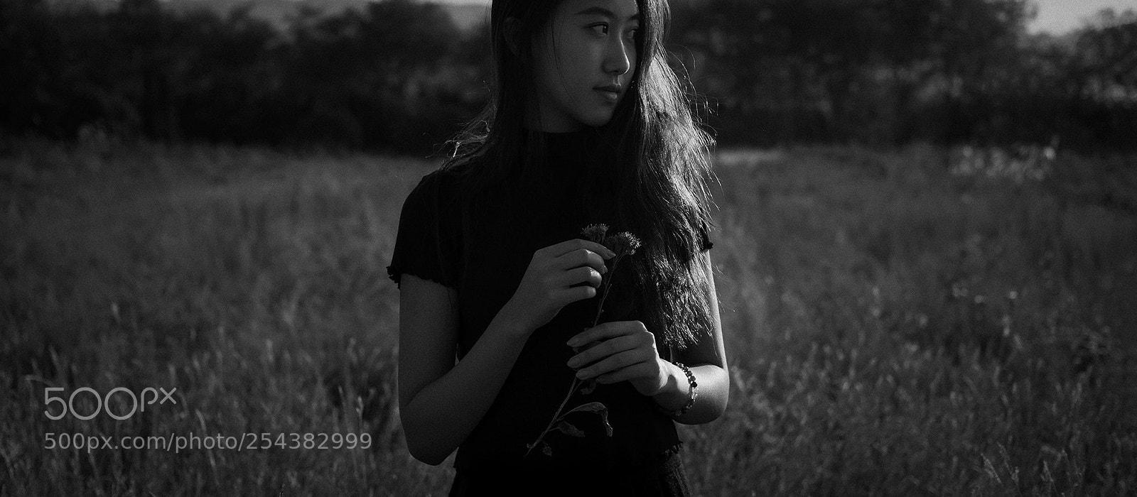 Fujifilm X-Pro2 sample photo. The wilderness photography