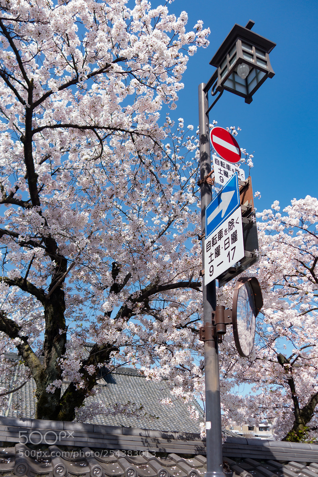 Sony Cyber-shot DSC-RX100 II sample photo. 花見小路通 photography