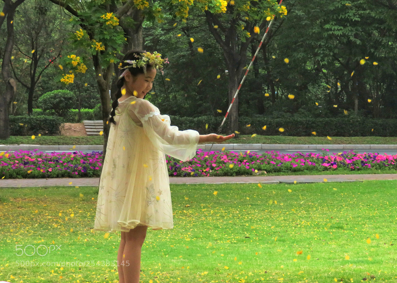 Canon PowerShot SX720 HS sample photo. 花季 photography