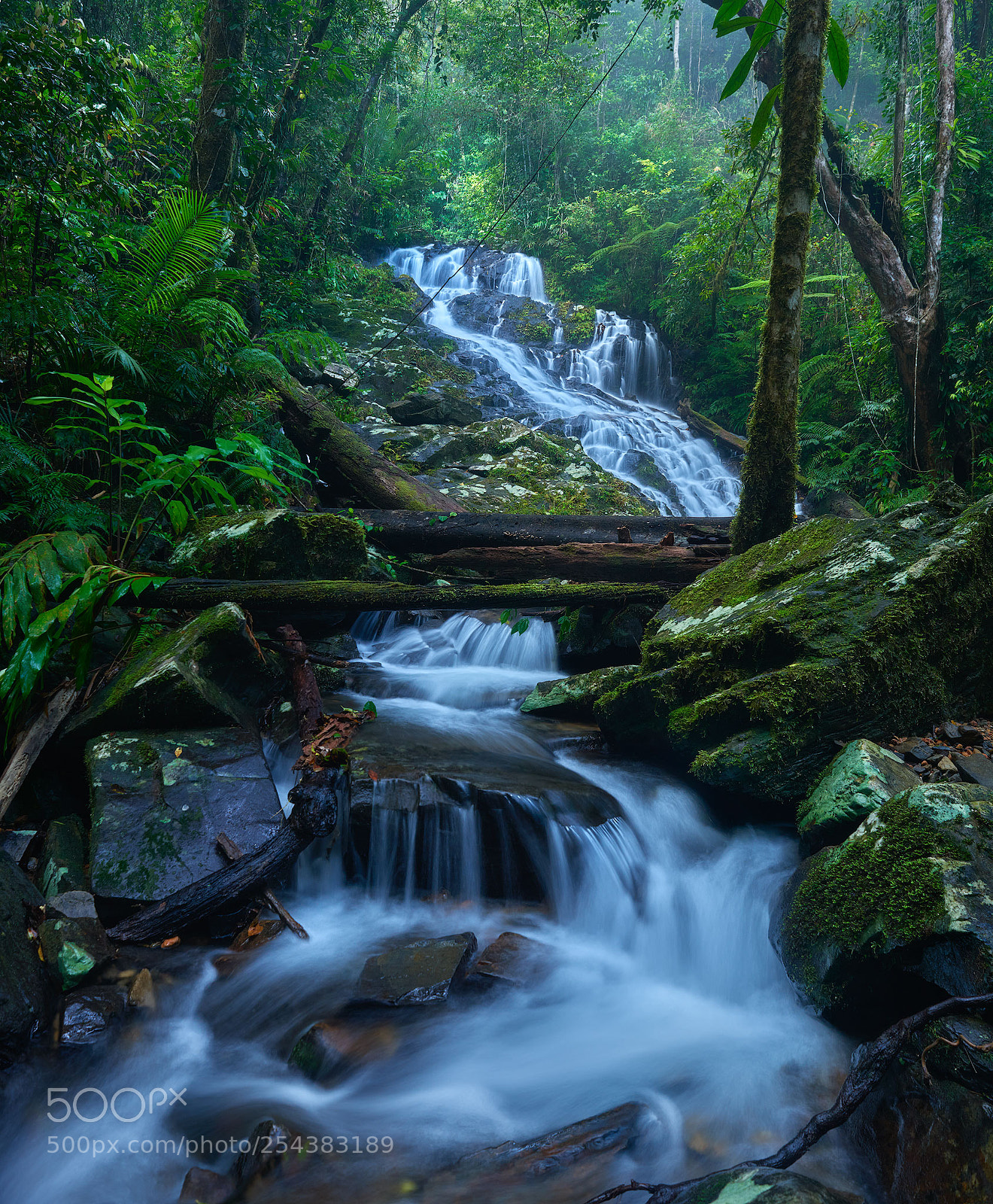 Nikon D800E sample photo. Bobbin-bobbin-falls photography