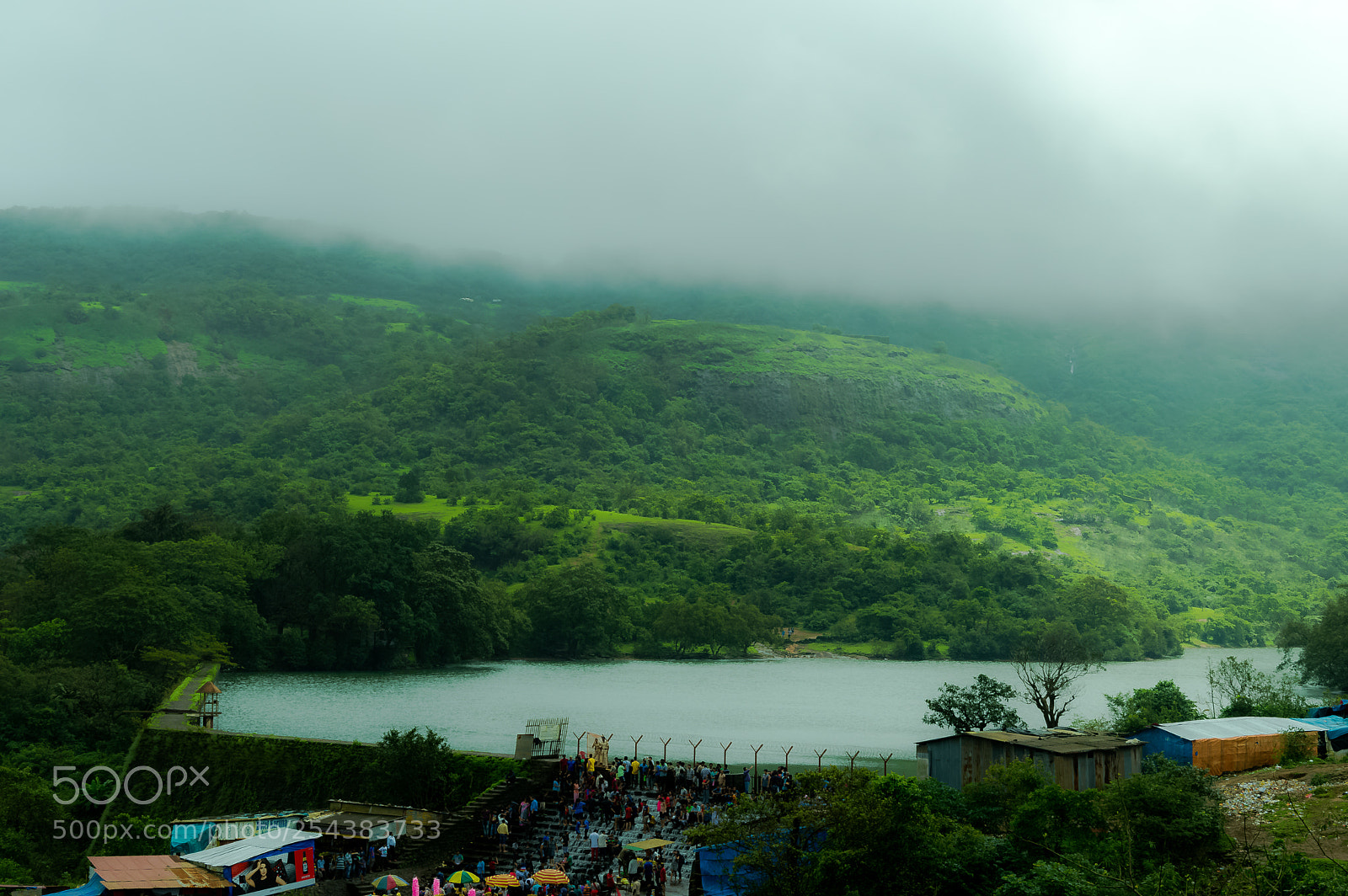 Nikon D3200 sample photo. Natural green photography