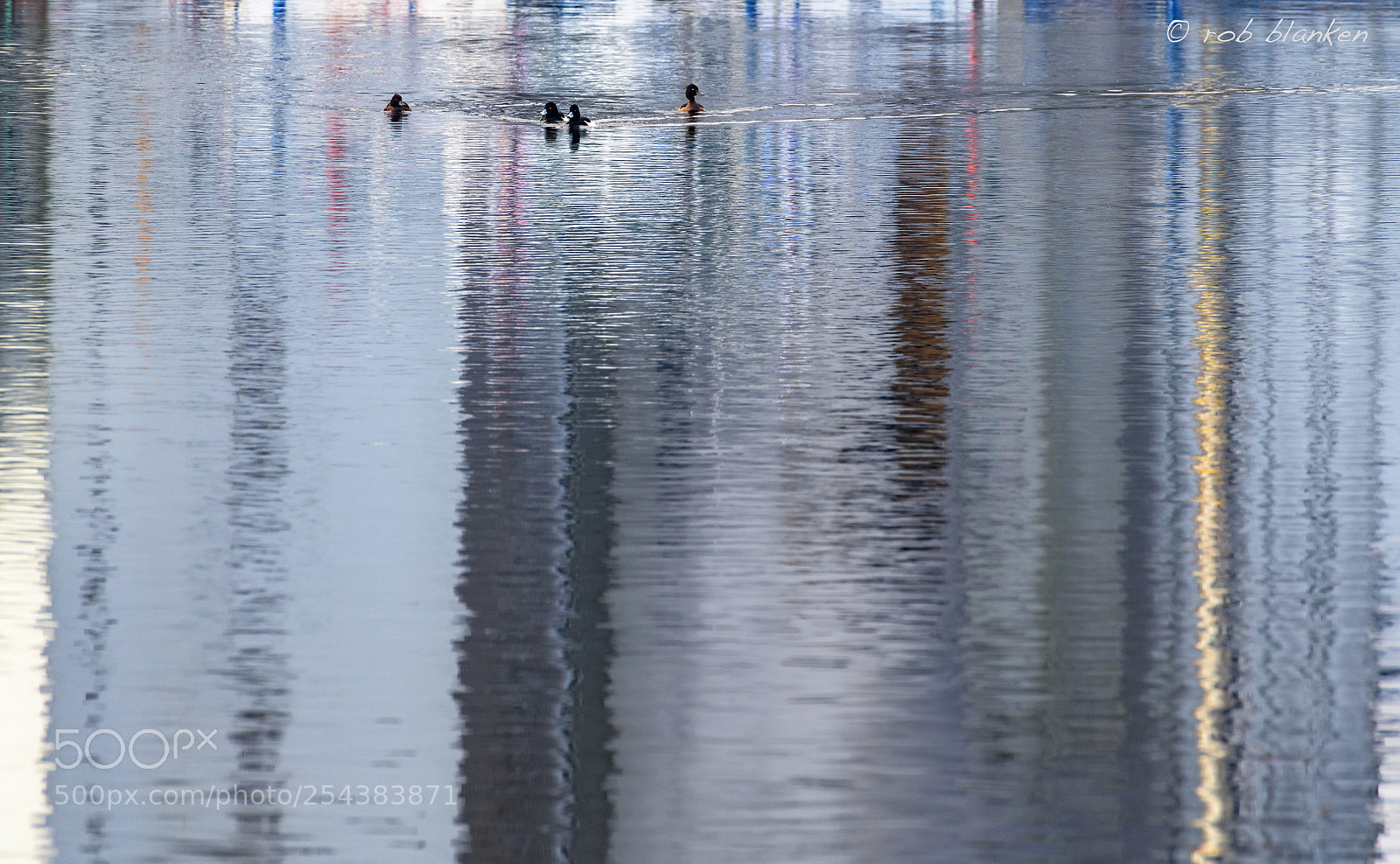 Nikon D850 sample photo. Reflection (12) photography