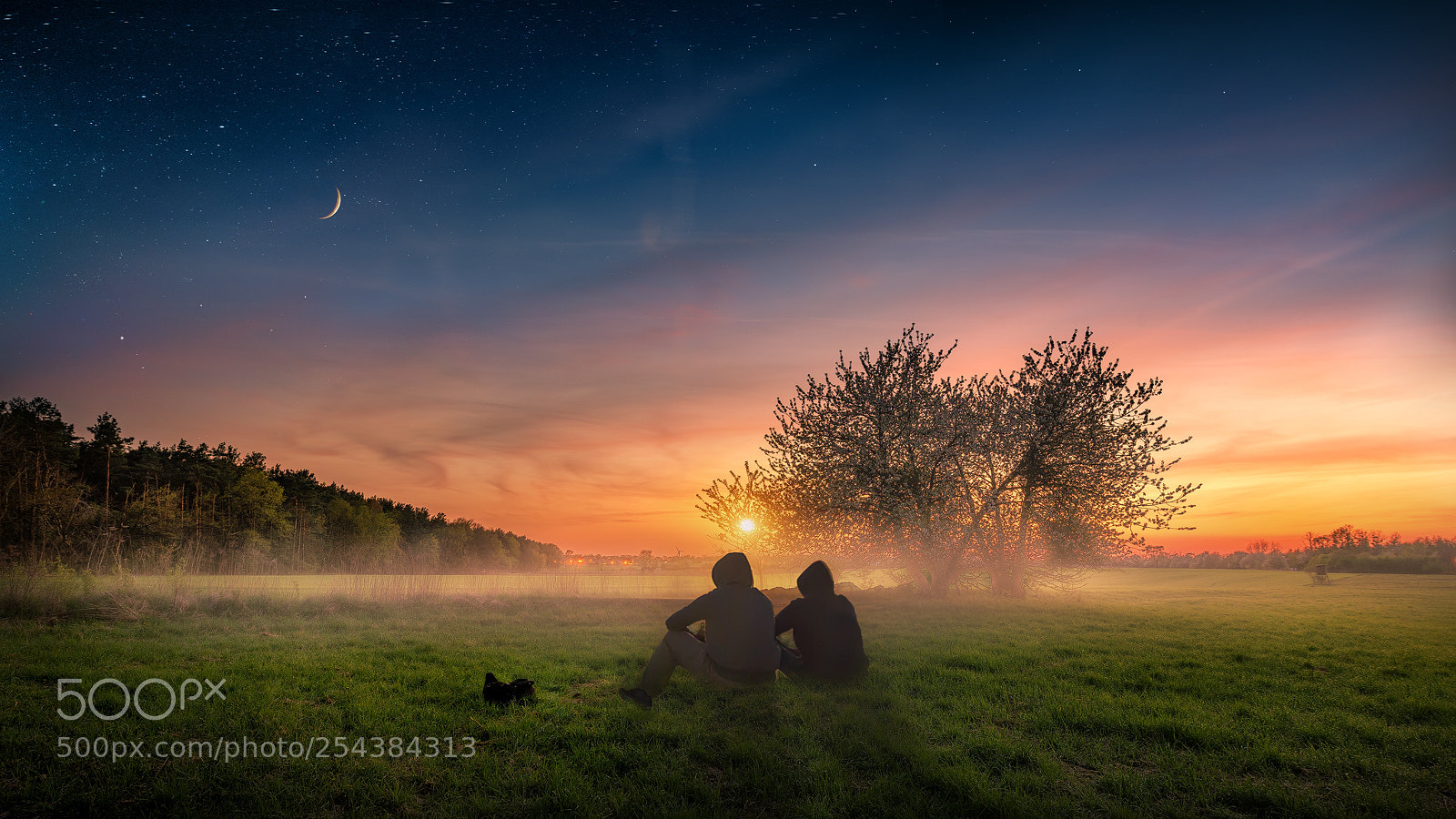 Nikon D810 sample photo. Tr ume nicht von photography