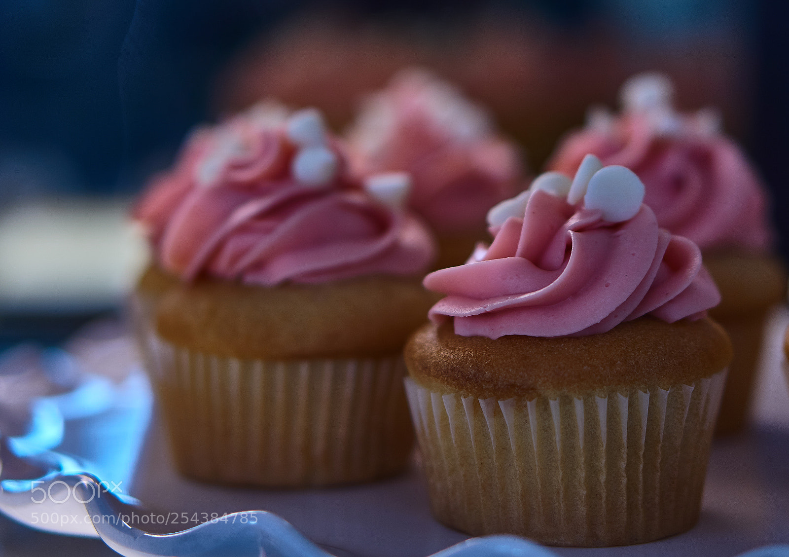 Sony a6000 sample photo. Vmfa april photography