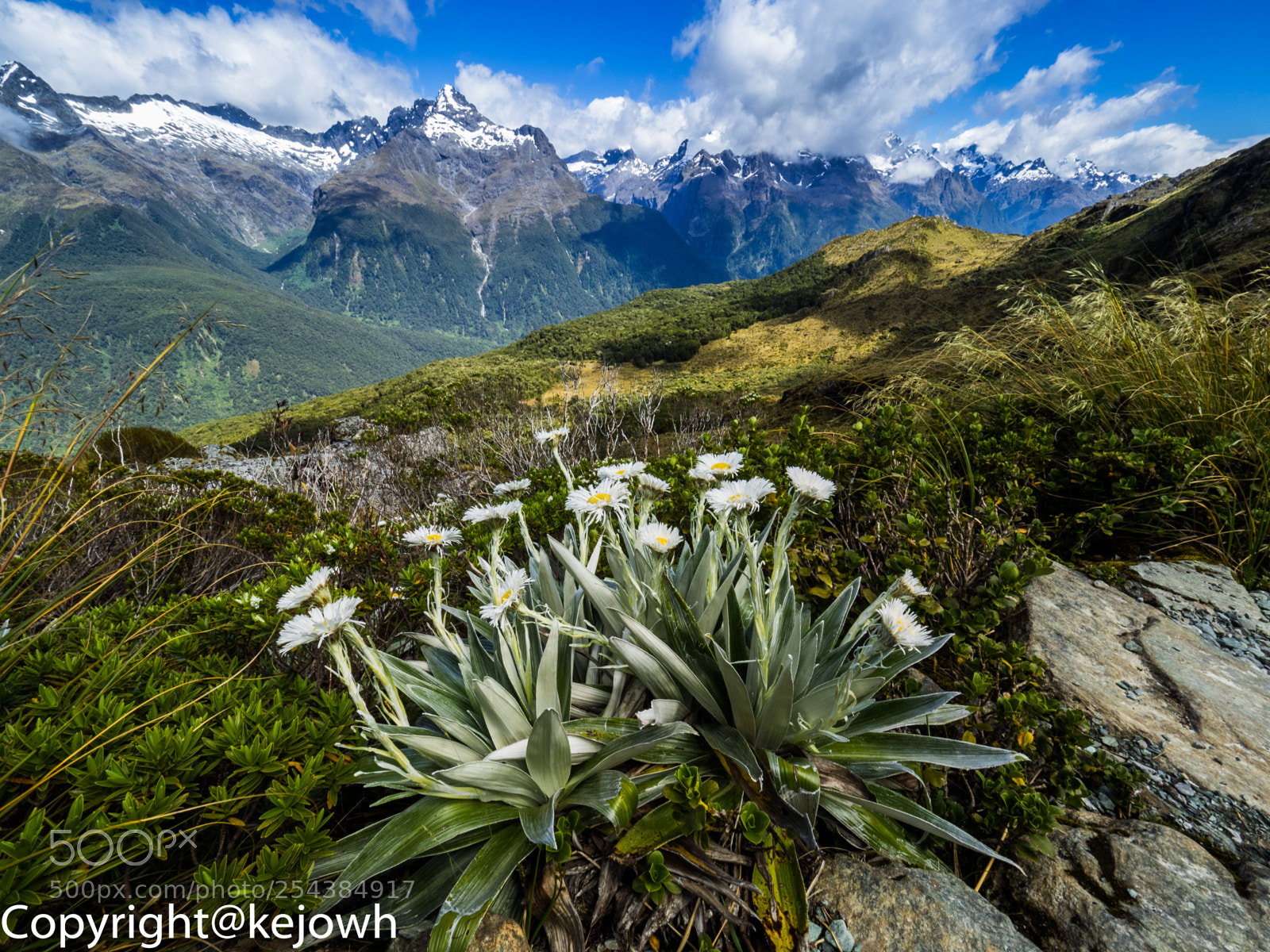 Olympus OM-D E-M1 sample photo. Alpine bliss photography