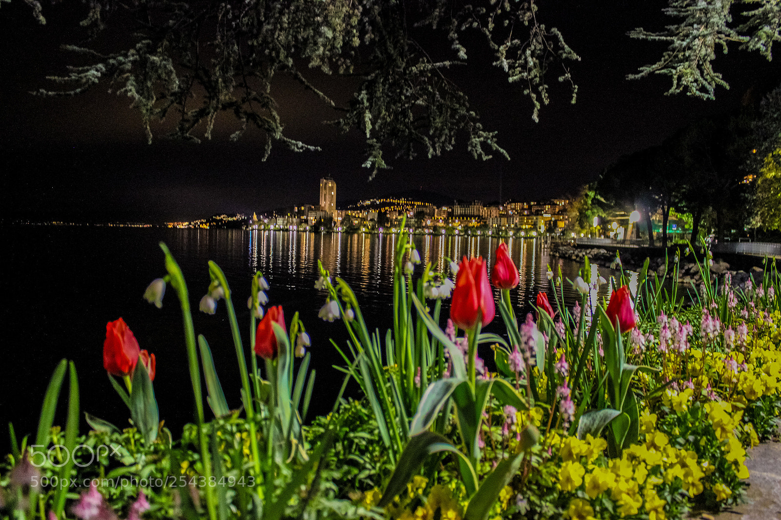 Canon EOS 600D (Rebel EOS T3i / EOS Kiss X5) sample photo. Spring by night photography