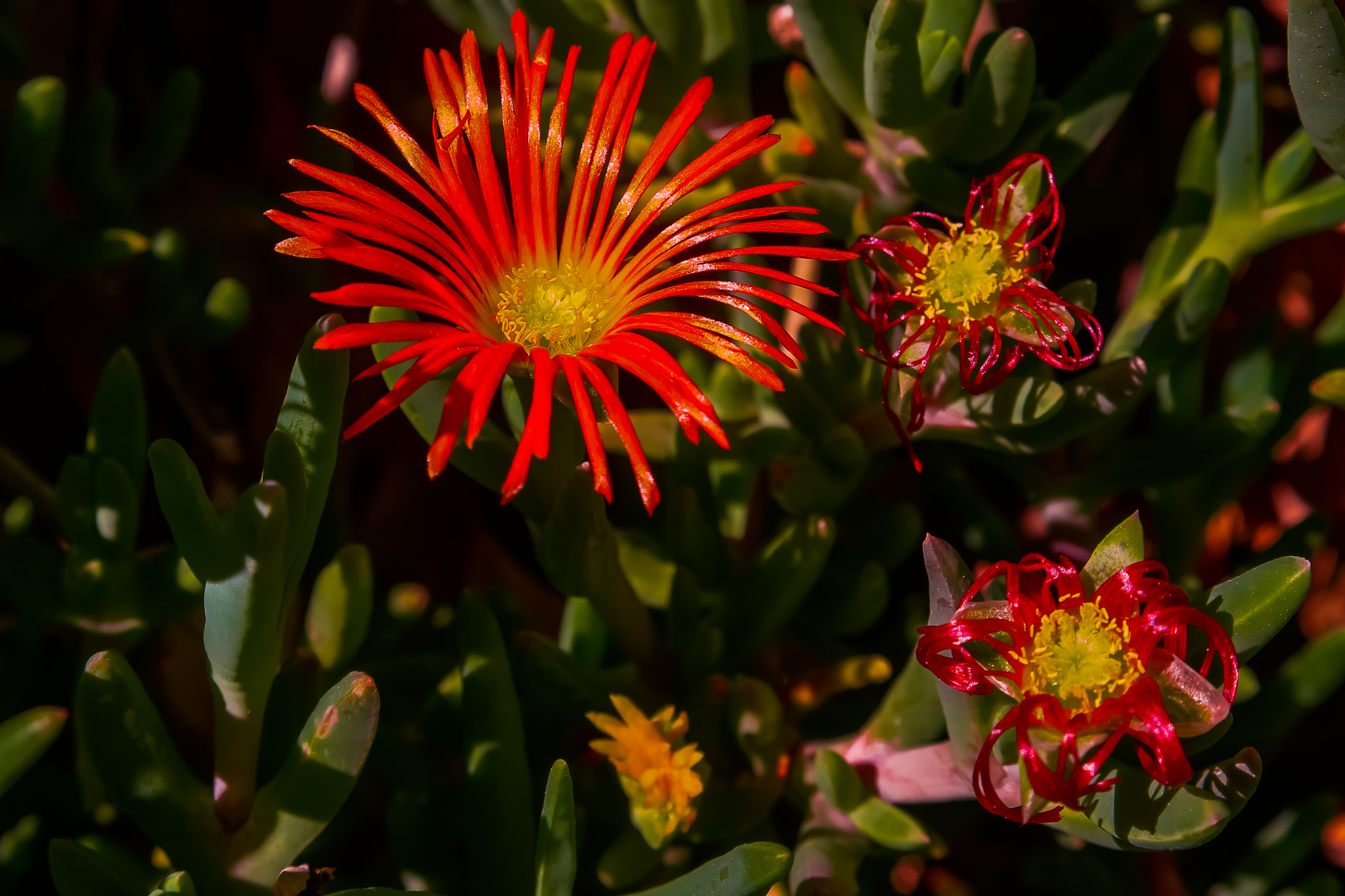 Samsung NX500 sample photo. Remembrance photography