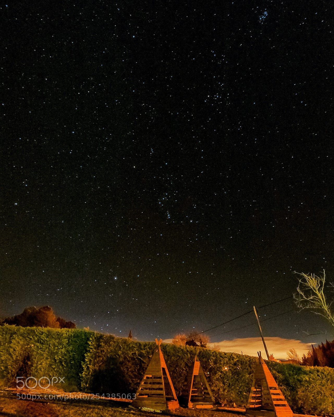 Nikon D700 sample photo. Spring night.
 photography
