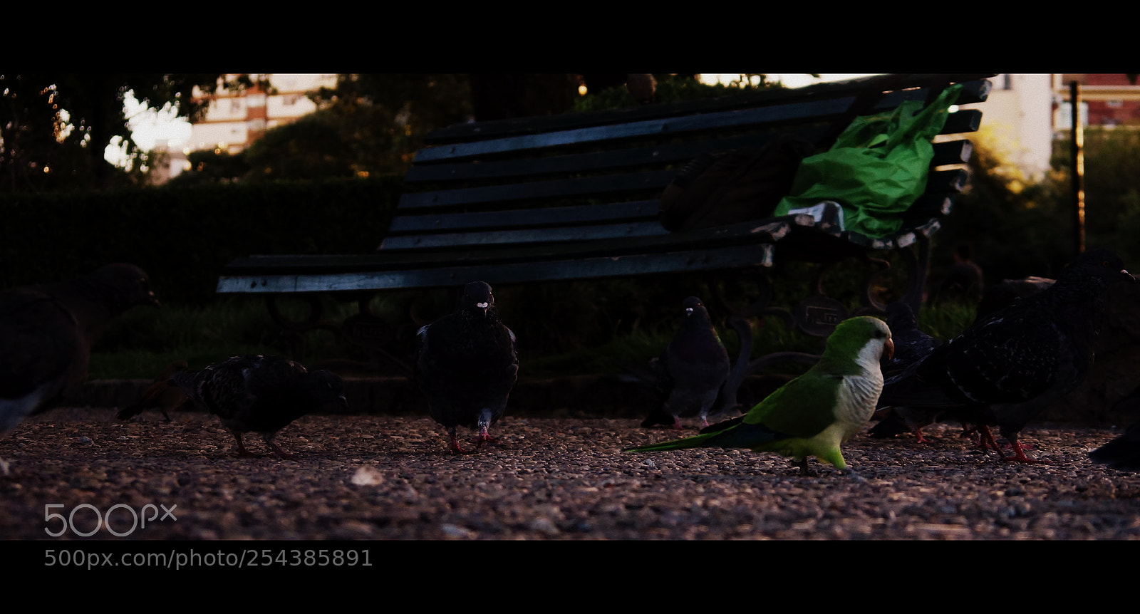 Sony Alpha a3500 sample photo. Dsc photography