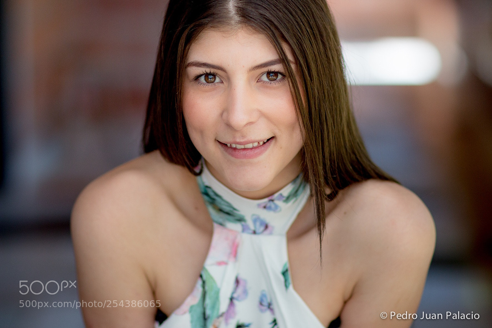 Canon EOS 70D sample photo. Luzmer photography