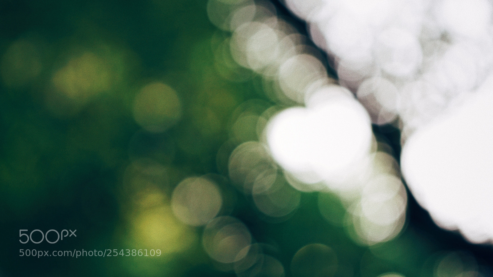 Sony Alpha NEX-7 sample photo. Untitled photography