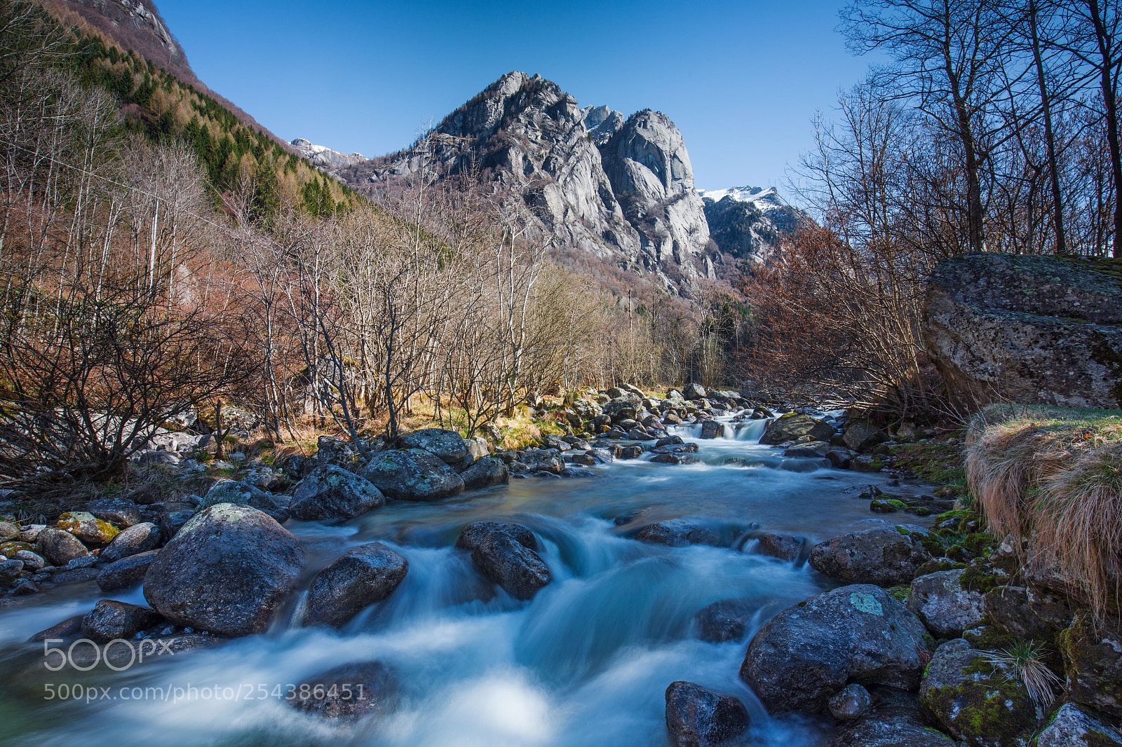 Canon EOS 5D Mark IV sample photo. Web photography