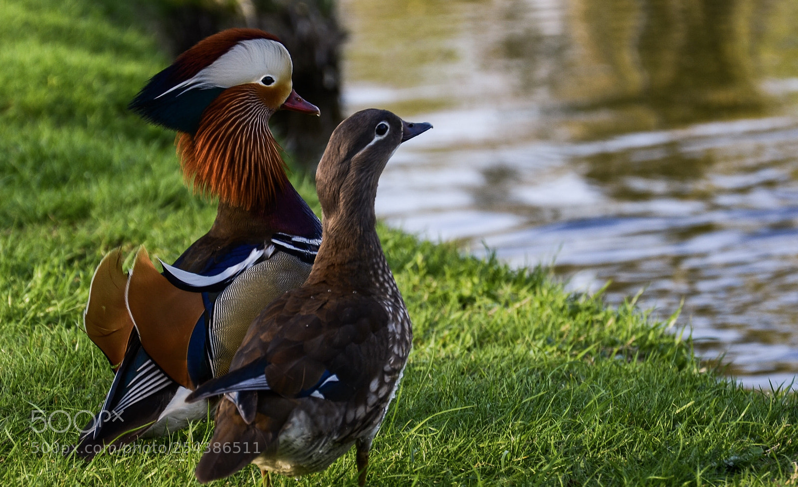 Nikon D7000 sample photo. Excidet photography