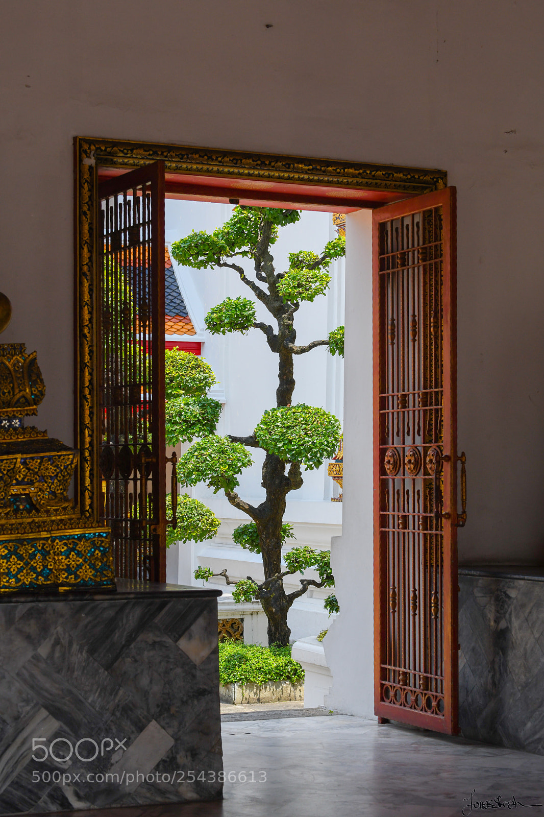 Nikon D850 sample photo. Dsc photography