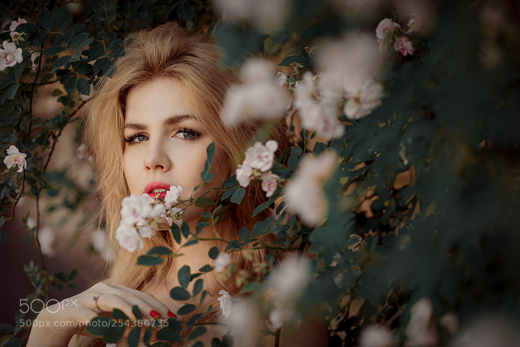 Nikon D810 sample photo. Untitled photography