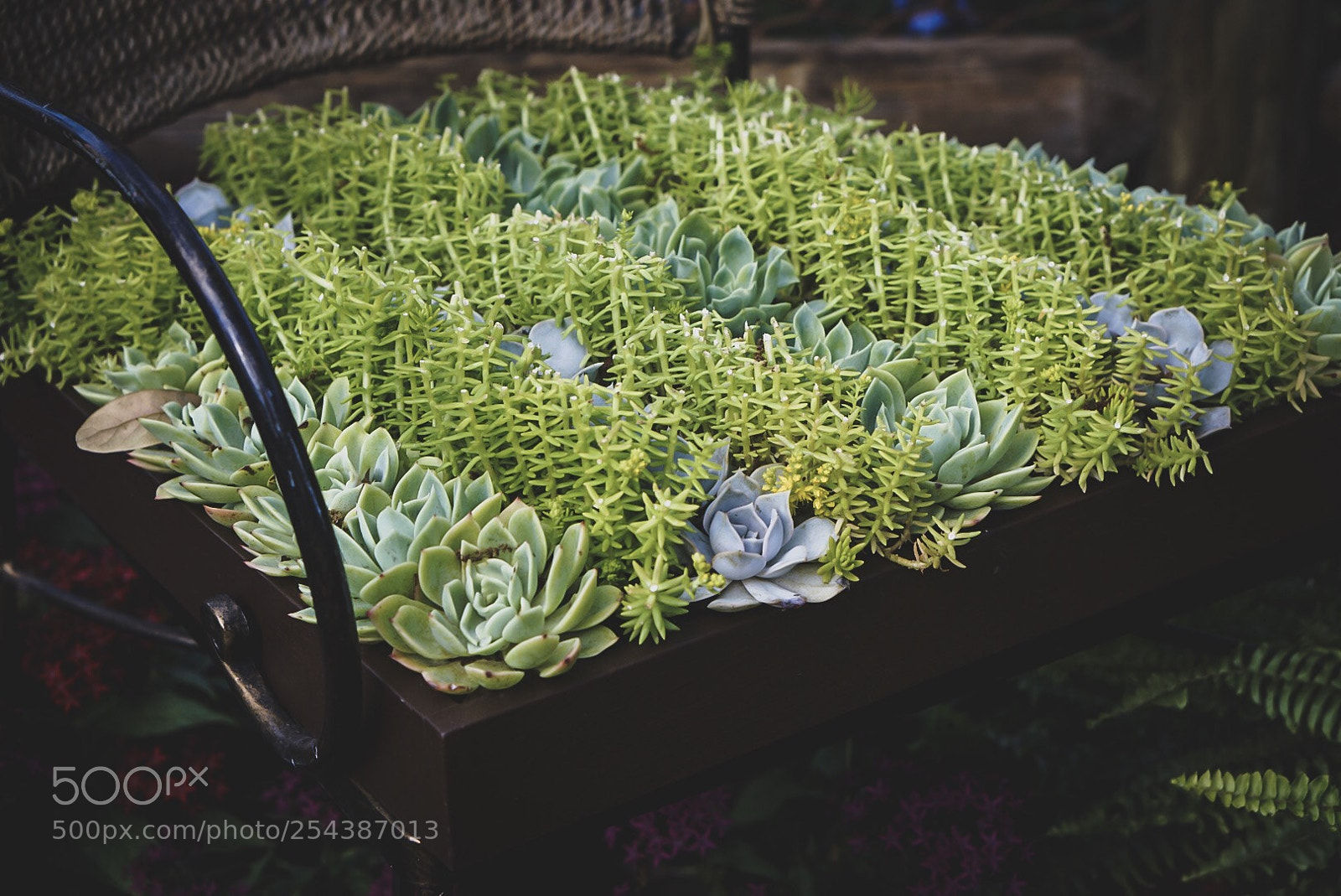 Sony a6000 sample photo. On the edge of photography