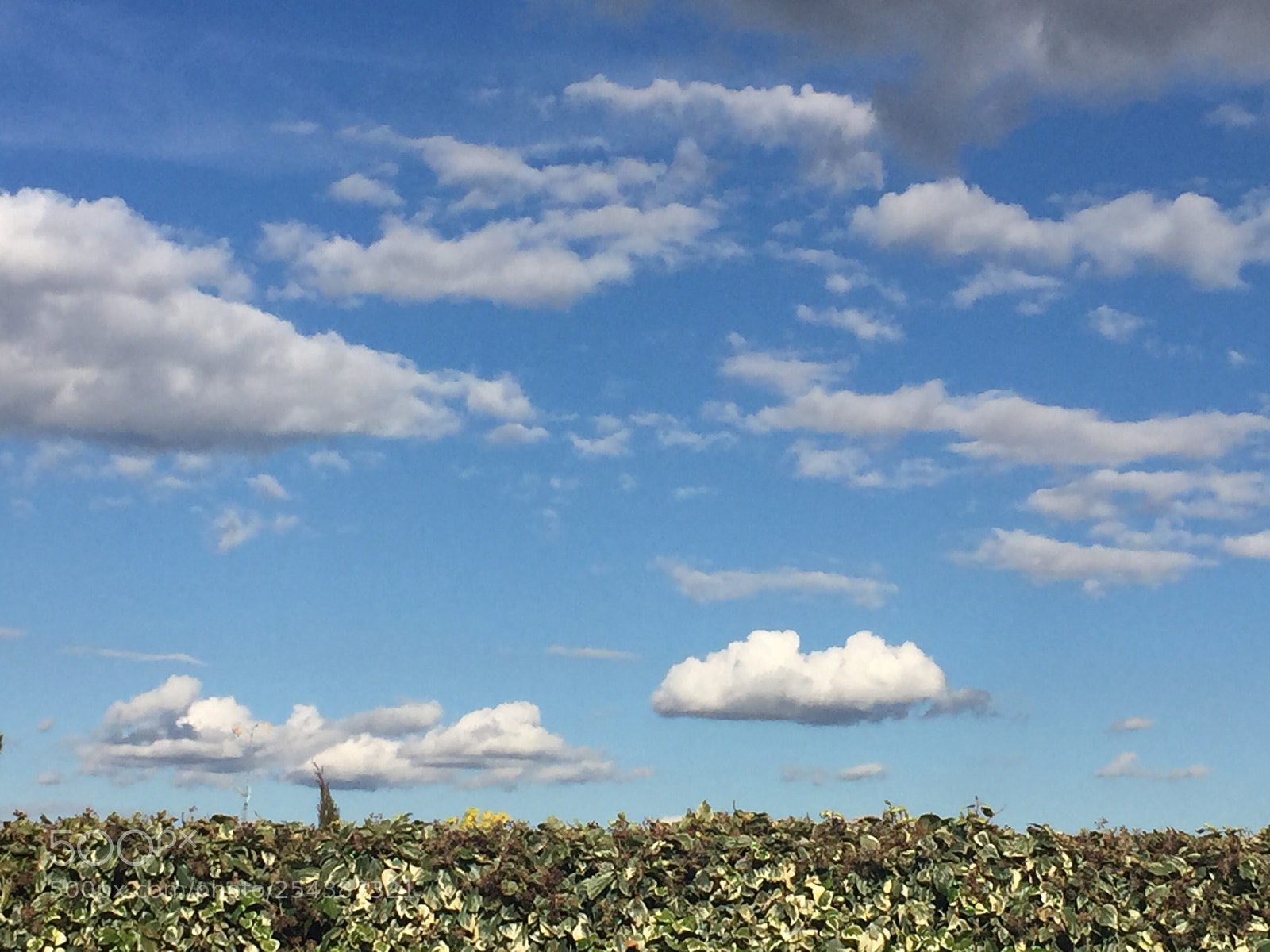 Apple iPhone 6 sample photo. Sky photography