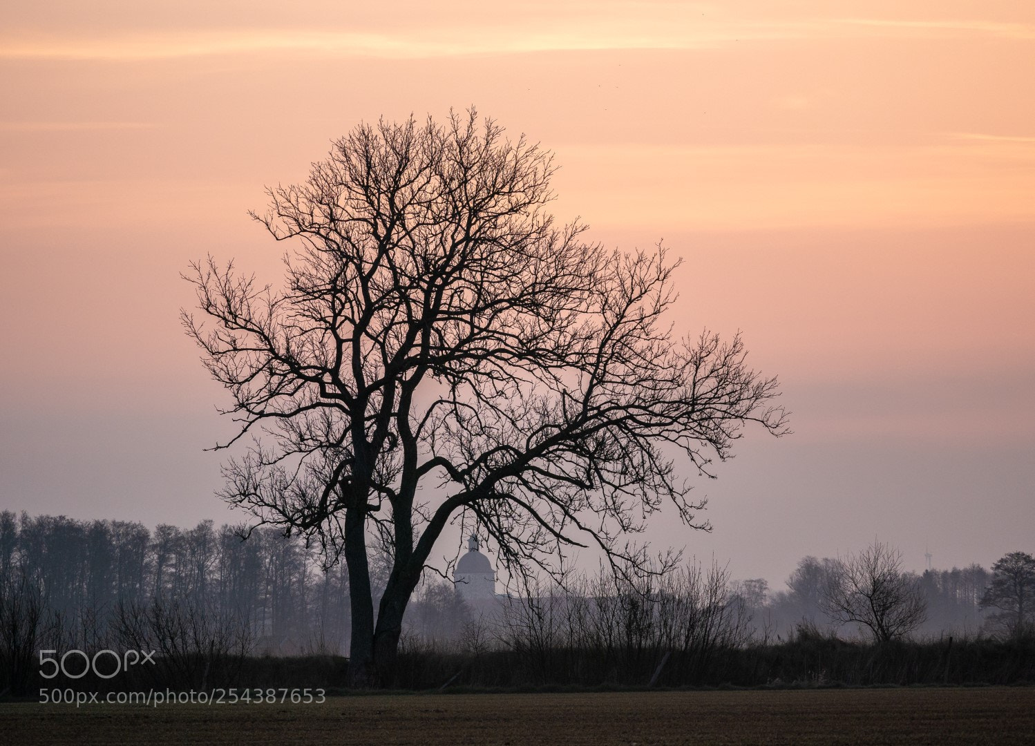 Panasonic Lumix DMC-GX85 (Lumix DMC-GX80 / Lumix DMC-GX7 Mark II) sample photo. Morning photography