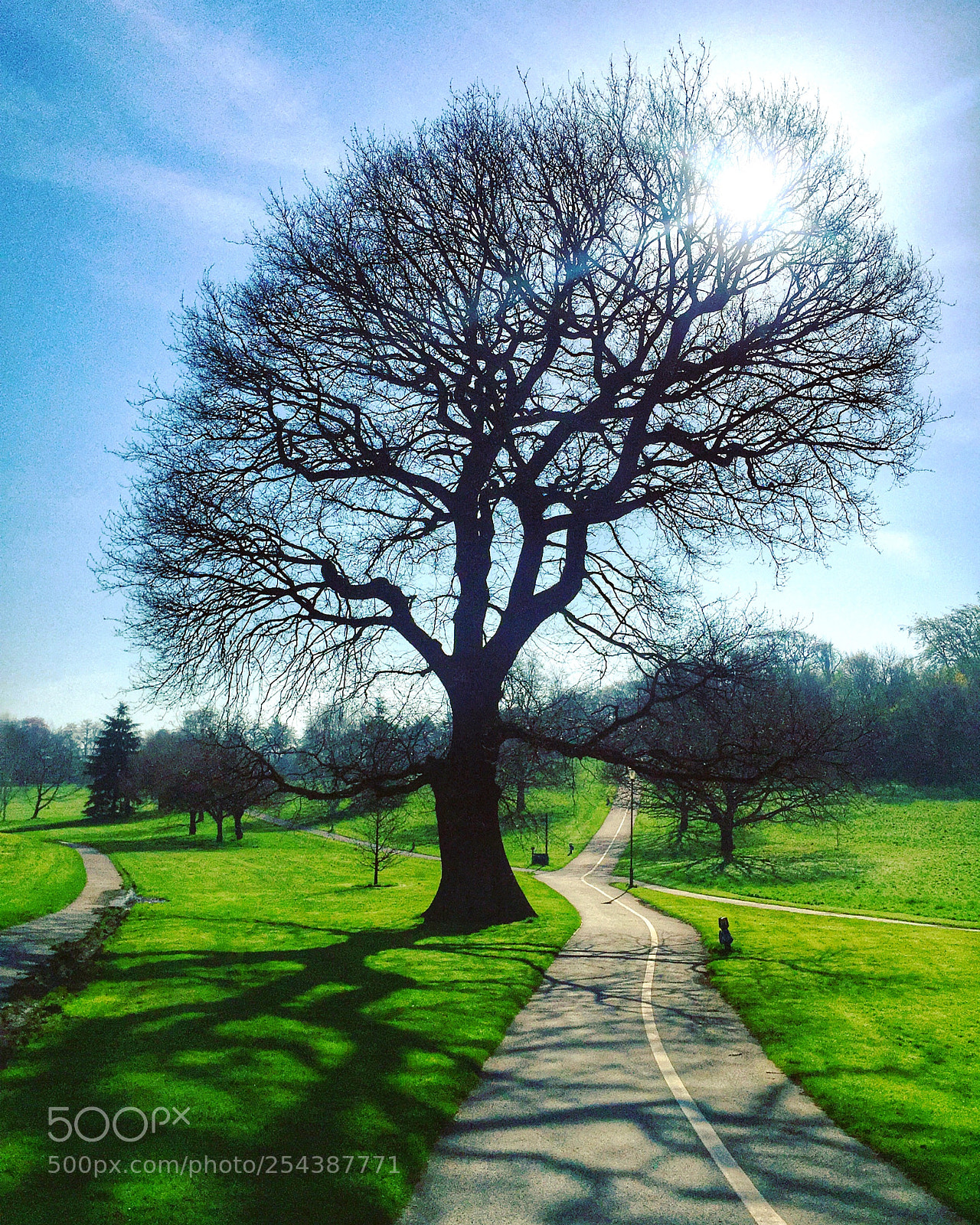 Apple iPhone 6 Plus sample photo. Morning sunshine in spring photography