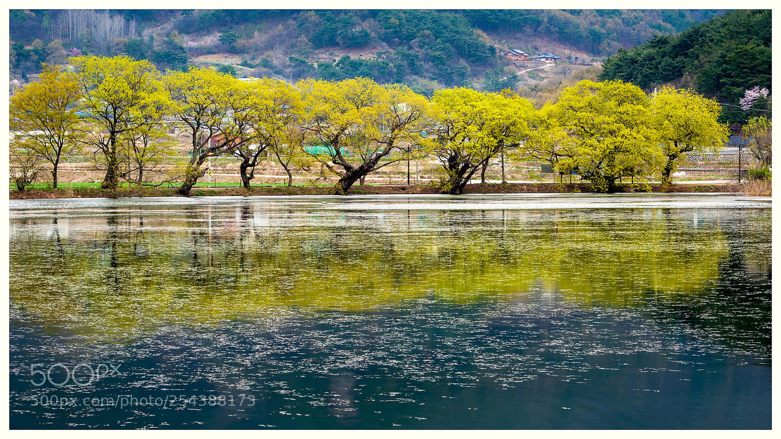 Nikon D700 sample photo. 위양지2 photography