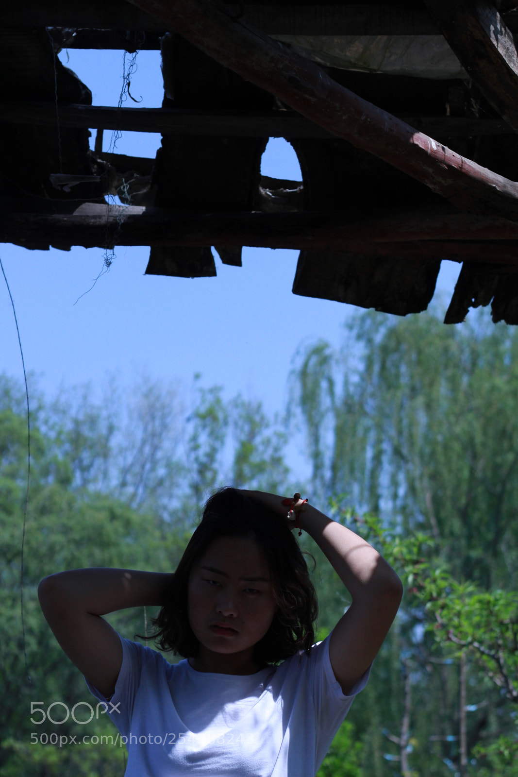 Canon EOS 1300D (EOS Rebel T6 / EOS Kiss X80) + Canon EF 50mm F1.8 STM sample photo. Untitled photography