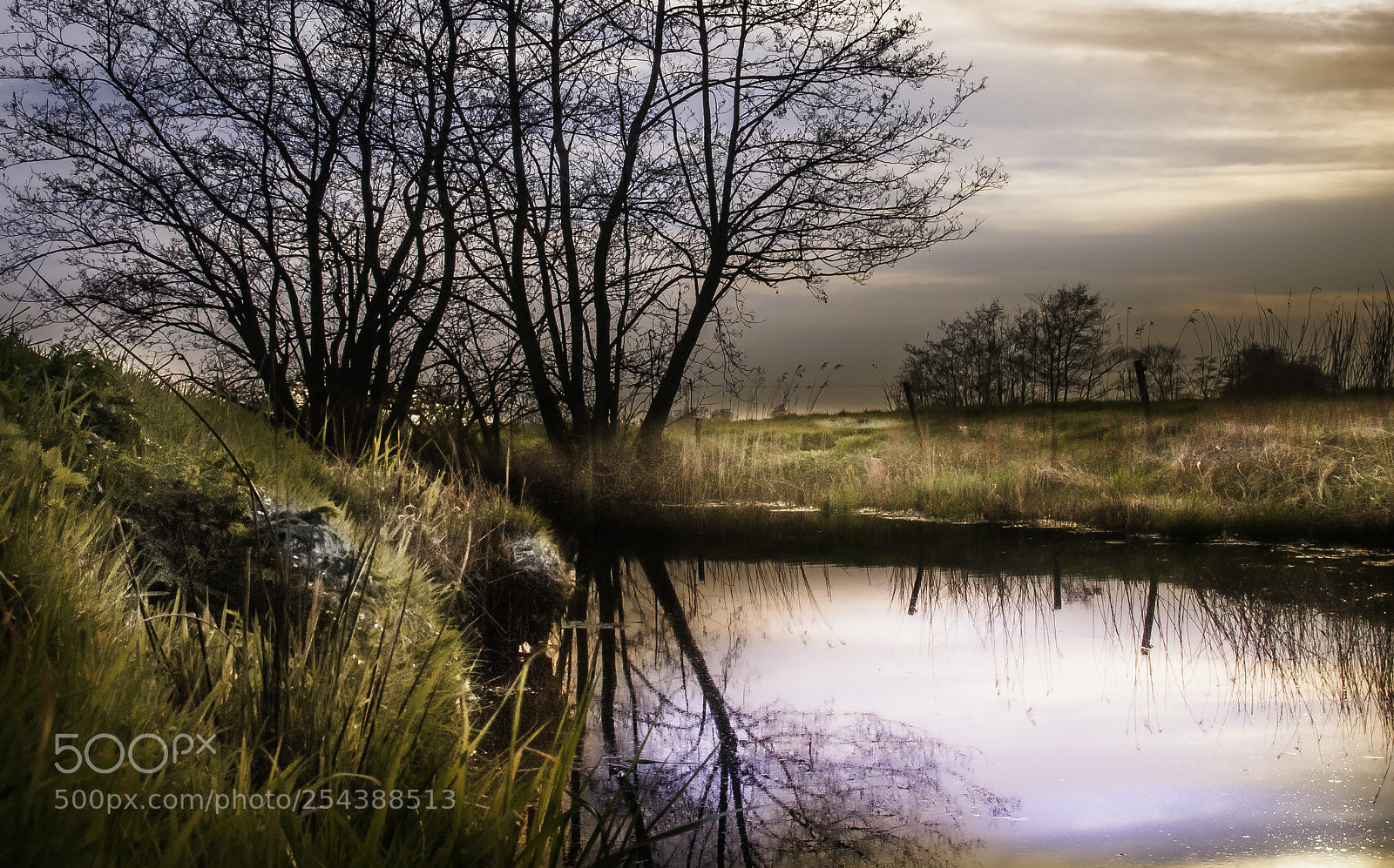Nikon D5000 sample photo. Mirror water photography