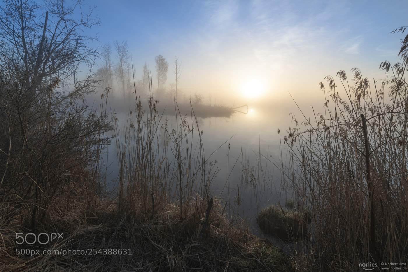 Nikon D850 sample photo. Magic morning photography