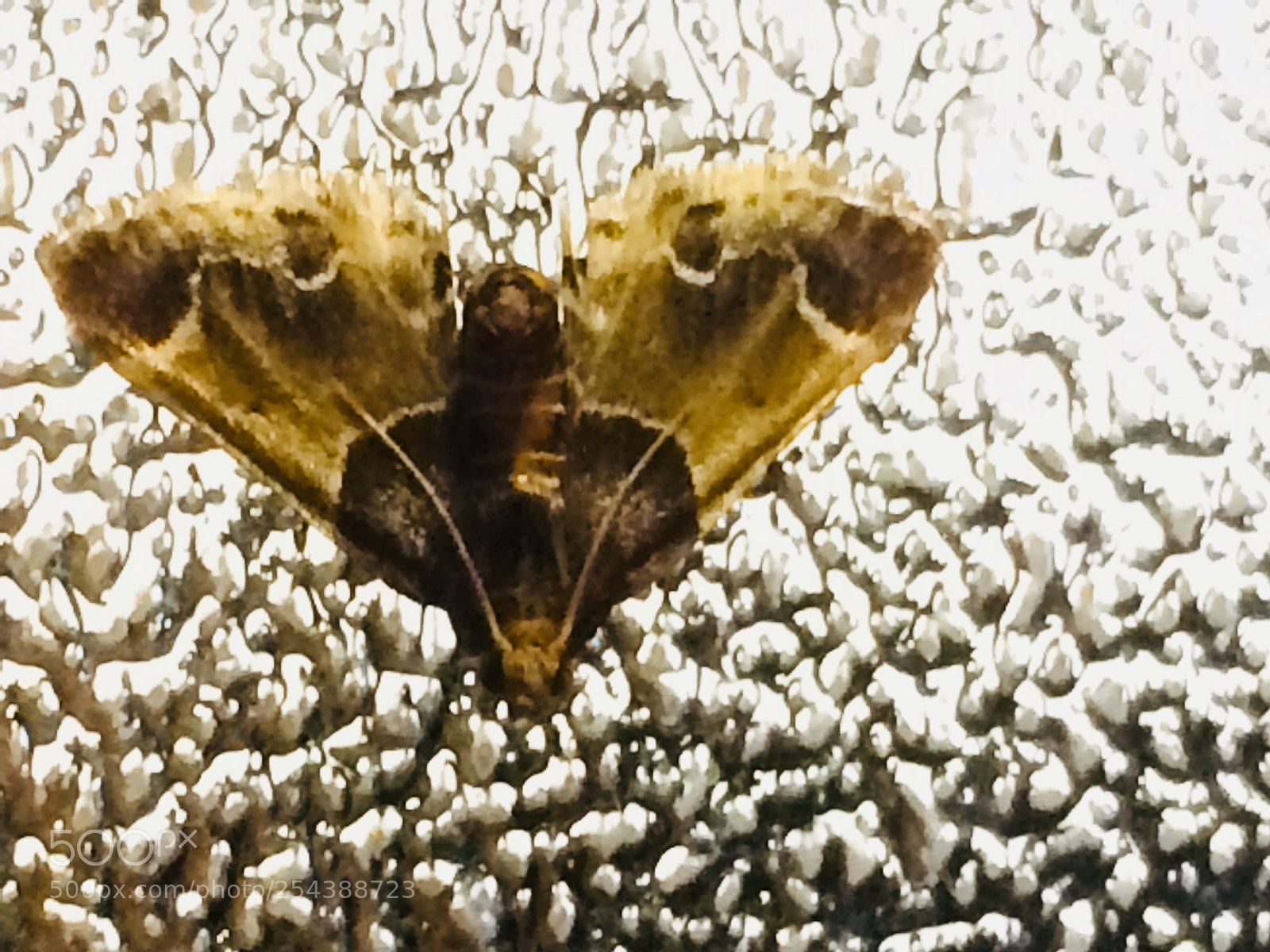 Apple iPhone 5s sample photo. Untitled photography