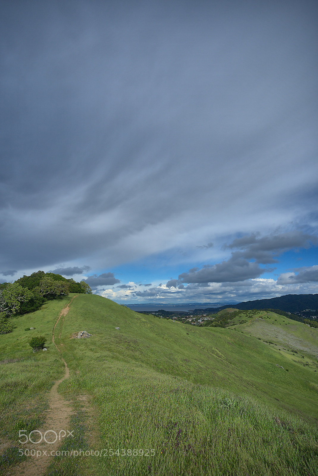 Sony a7 III sample photo. Path to the sky photography