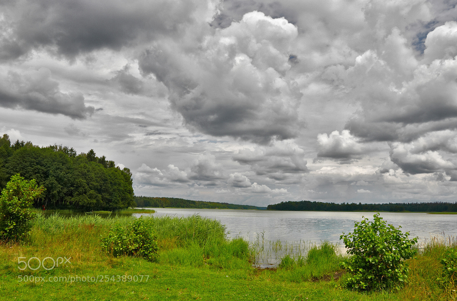 Pentax K20D sample photo. Bad weather photography