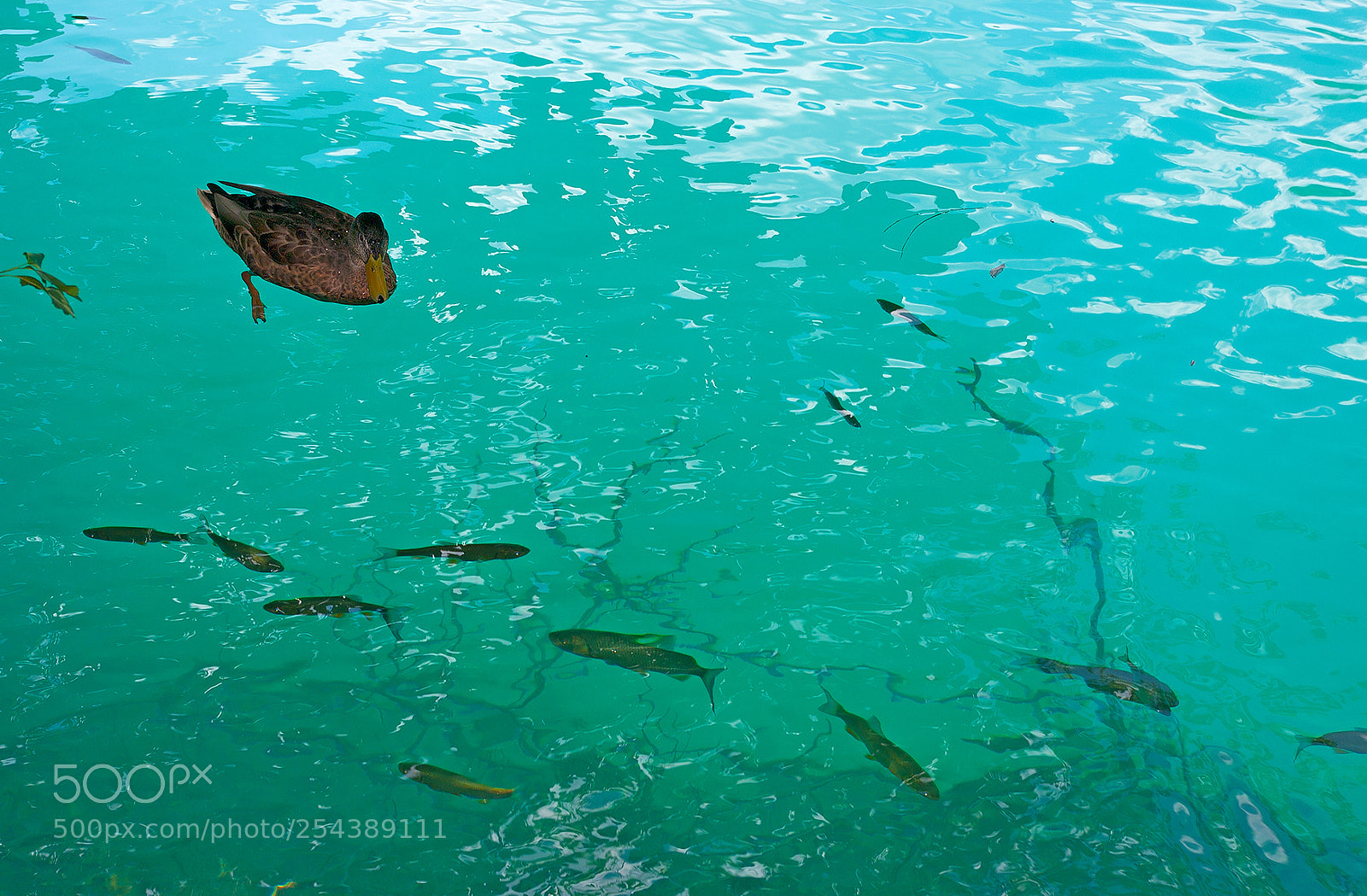 Pentax K20D sample photo. Croatia. plitvice lakes photography